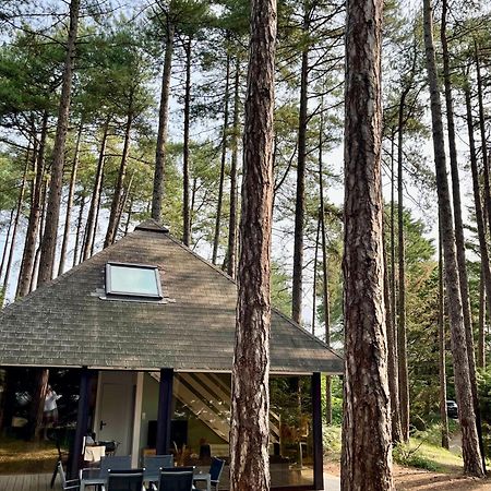 L Oree De La Pinede Hardelot Plage A 800 Metres De La Mer Sous Les Pins Kültér fotó