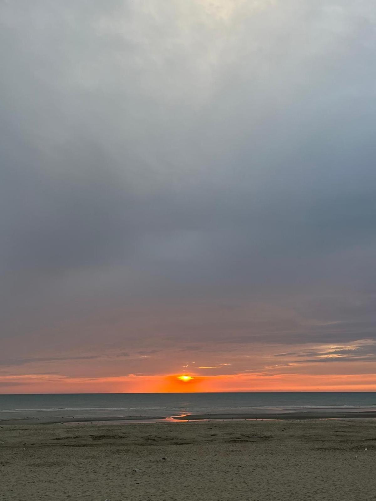 L Oree De La Pinede Hardelot Plage A 800 Metres De La Mer Sous Les Pins Kültér fotó