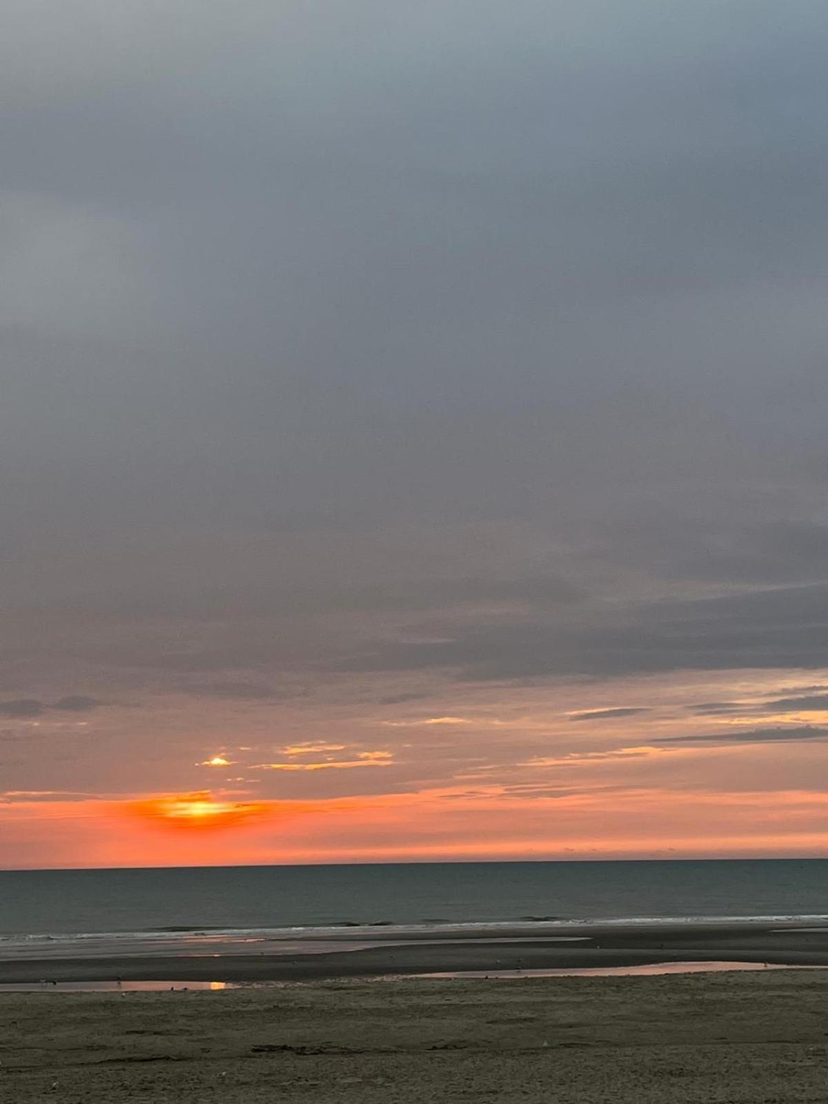 L Oree De La Pinede Hardelot Plage A 800 Metres De La Mer Sous Les Pins Kültér fotó