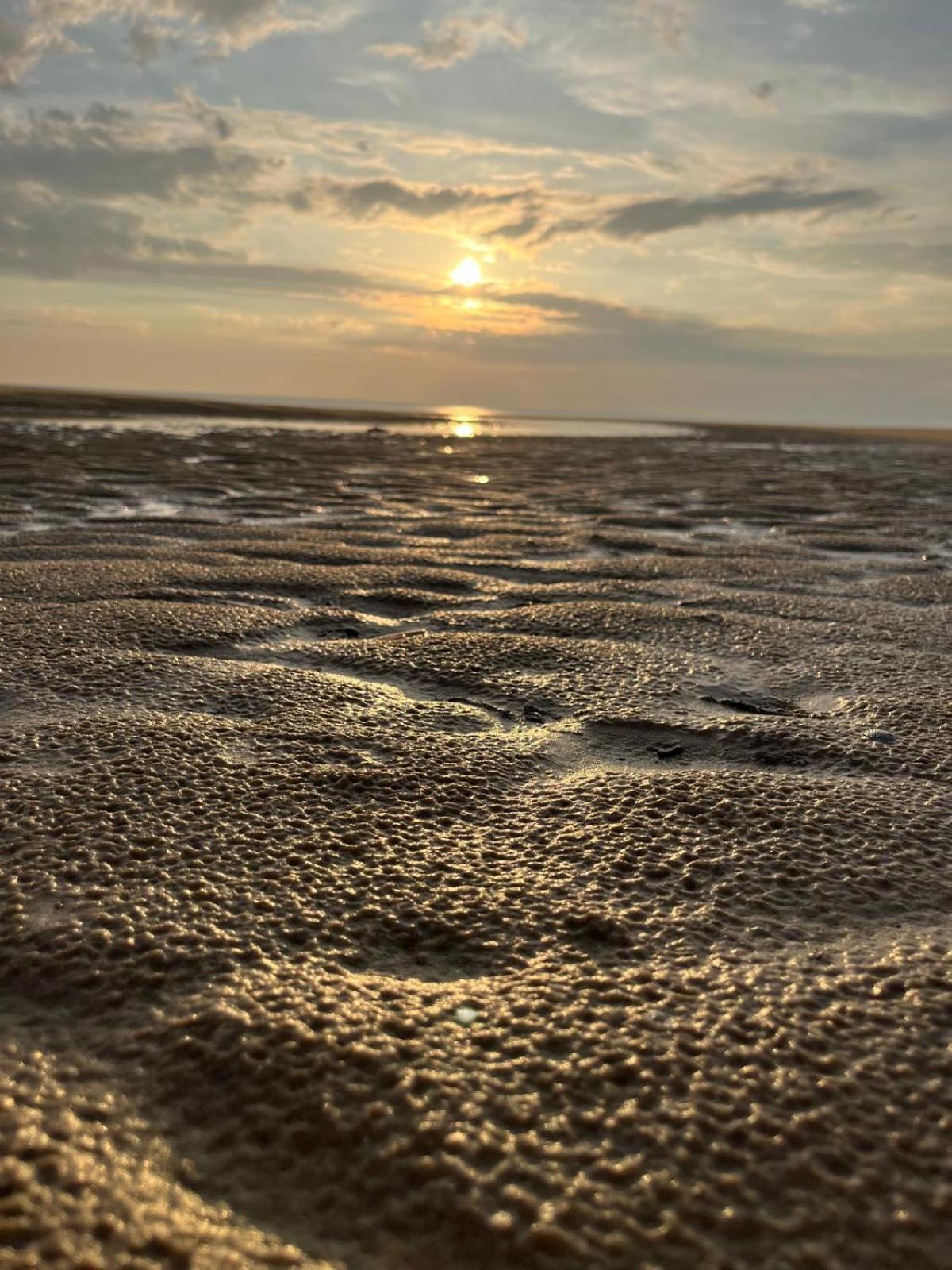 L Oree De La Pinede Hardelot Plage A 800 Metres De La Mer Sous Les Pins Kültér fotó