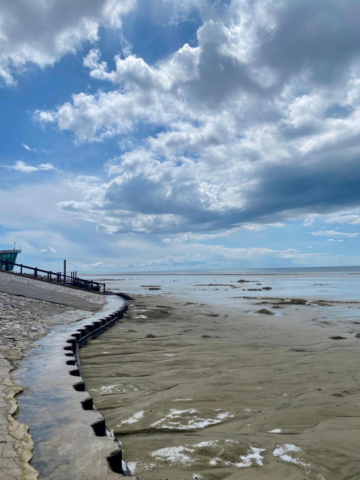 L Oree De La Pinede Hardelot Plage A 800 Metres De La Mer Sous Les Pins Kültér fotó