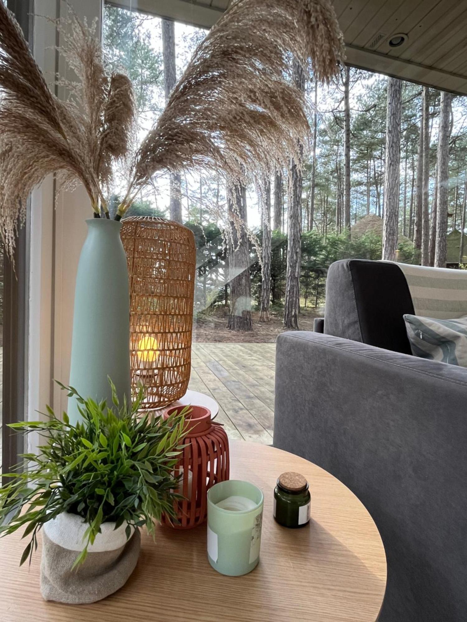 L Oree De La Pinede Hardelot Plage A 800 Metres De La Mer Sous Les Pins Kültér fotó