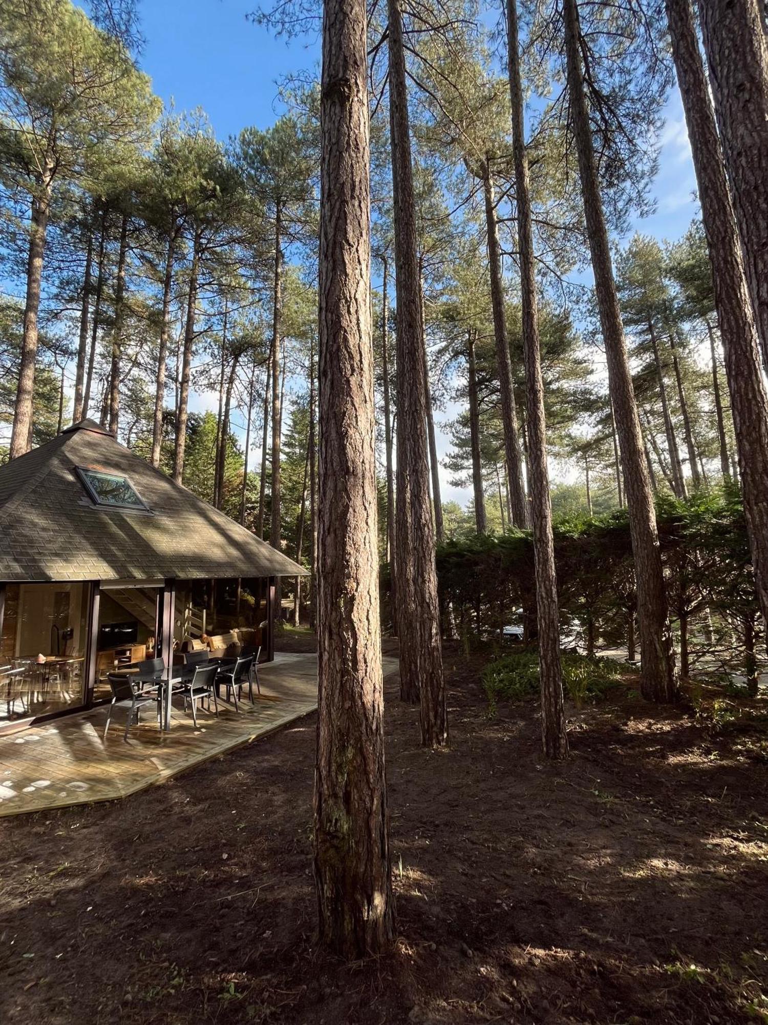 L Oree De La Pinede Hardelot Plage A 800 Metres De La Mer Sous Les Pins Kültér fotó