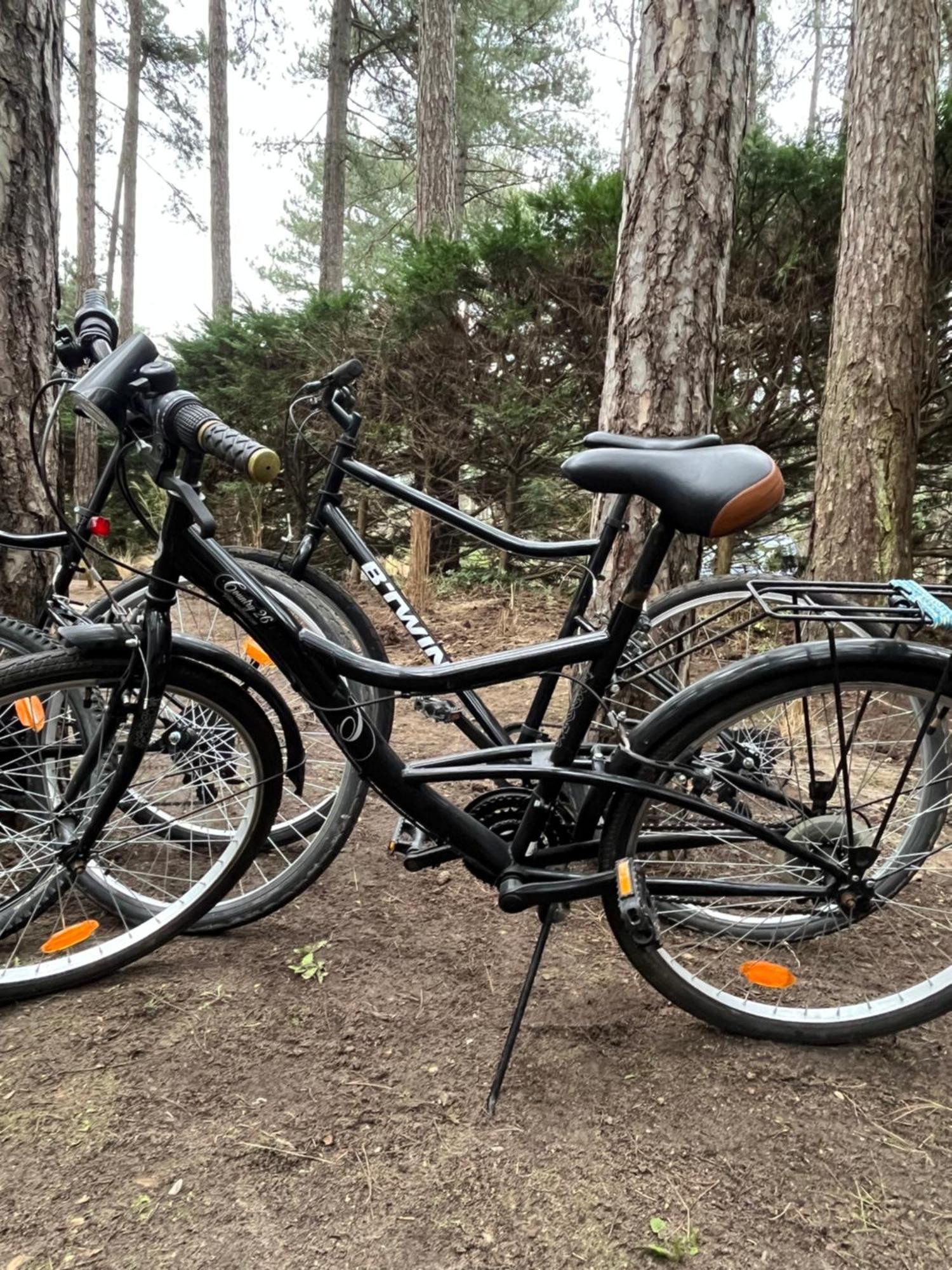 L Oree De La Pinede Hardelot Plage A 800 Metres De La Mer Sous Les Pins Kültér fotó